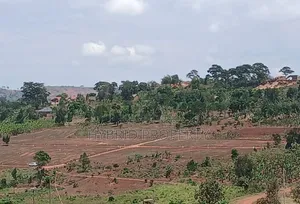Prime Plots for Sale at Kampiringisa~Muyira Kulya Show Land Estate.