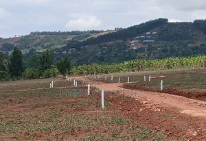 Prime Plots for Sale at Kampiringisa~Muyira Kulya Show Land Estate.