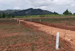 Prime Plots for Sale at Kampiringisa~Muyira Kulya Show Land Estate.