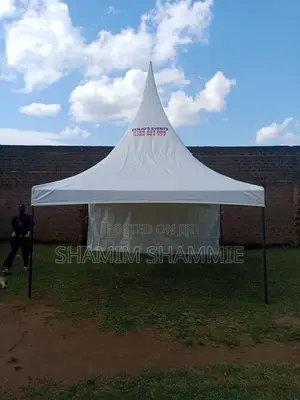 Best Choice for 50 Seater