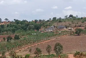 Prime Plots for Sale at Mpigi Kampiringisa~Muyira Town Land Estate X