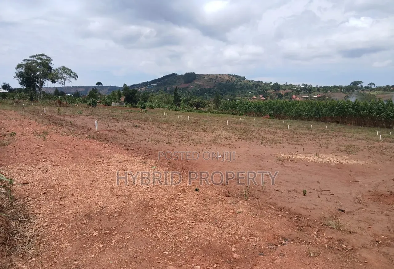 Prime Plots for Sale at Mpigi Kampiringisa~Muyira Town Land Estate X