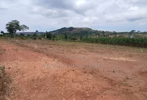 Prime Plots for Sale at Mpigi Kampiringisa~Muyira Town Land Estate X