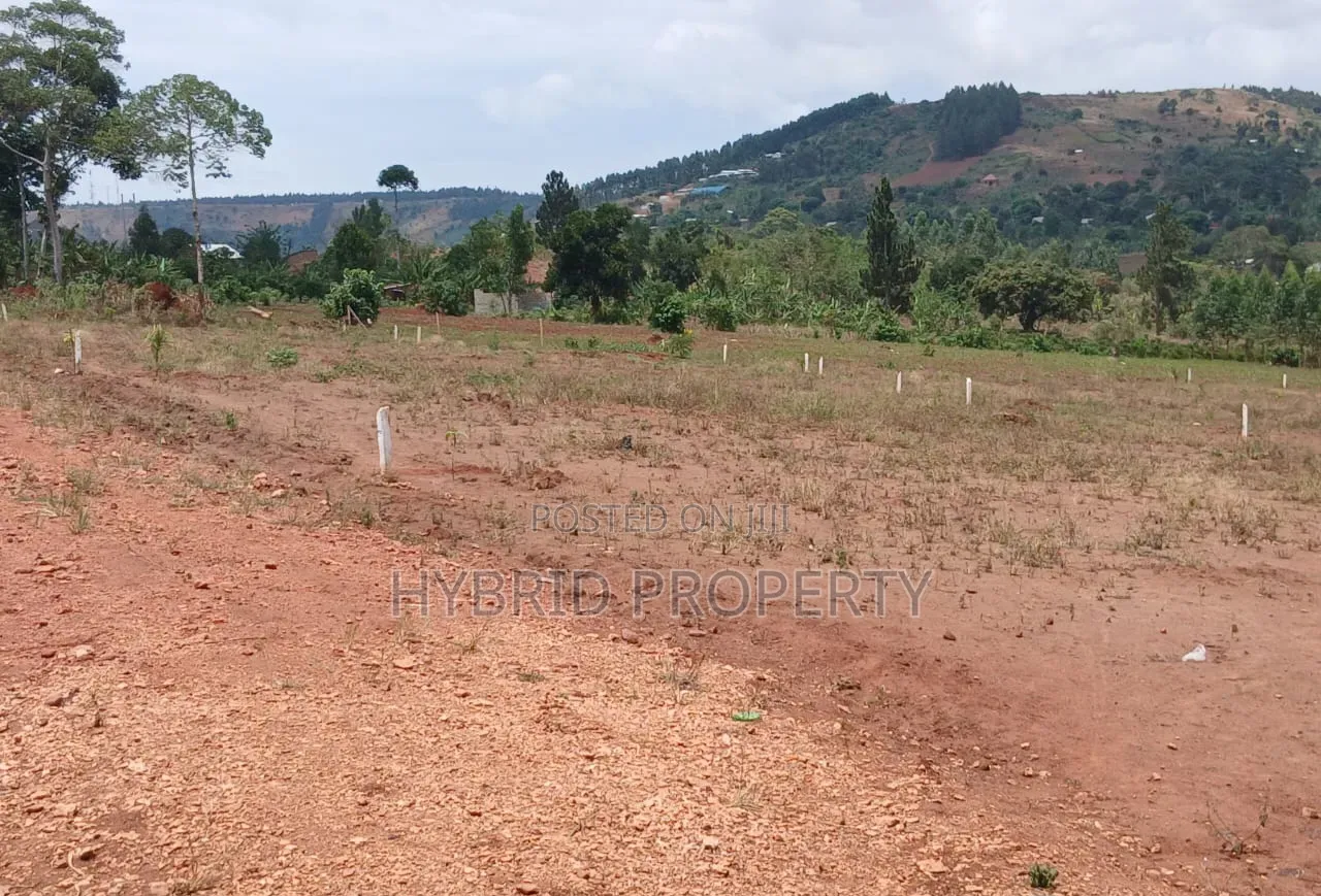 Prime Plots for Sale at Mpigi Kampiringisa~Muyira Town Land Estate X