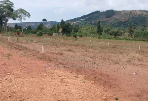 Prime Plots for Sale at Mpigi Kampiringisa~Muyira Town Land Estate X