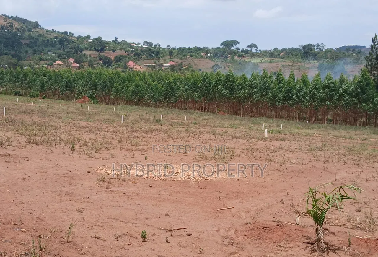 Prime Plots for Sale at Mpigi Kampiringisa~Muyira Town Land Estate X