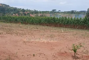 Prime Plots for Sale at Mpigi Kampiringisa~Muyira Town Land Estate X