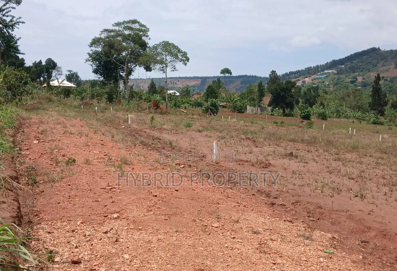 Prime Plots for Sale at Mpigi Kampiringisa~Muyira Town Land Estate X