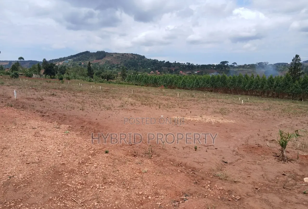Prime Plots for Sale at Mpigi Kampiringisa~Muyira Town Land Estate X