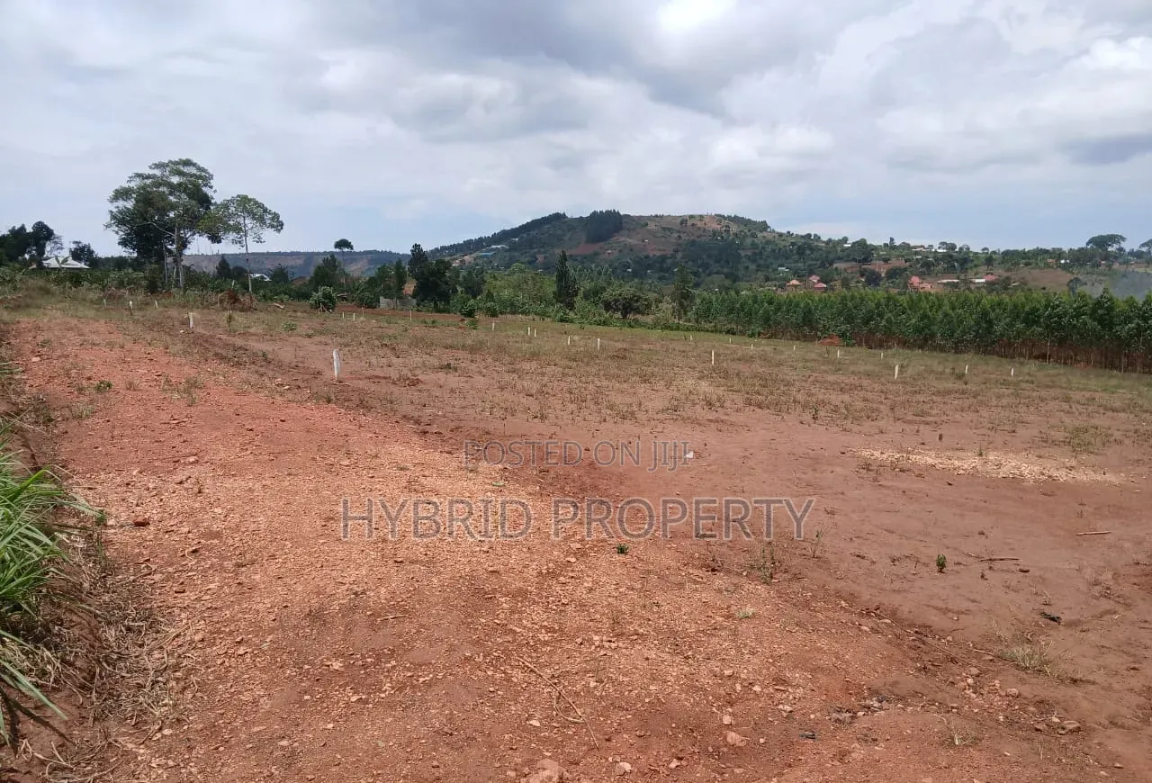 Prime Plots for Sale at Mpigi Kampiringisa~Muyira Town Land Estate X