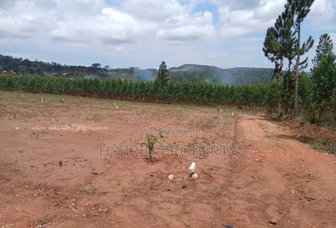 Prime Plots for Sale at Mpigi Kampiringisa~Muyira Town Land Estate X