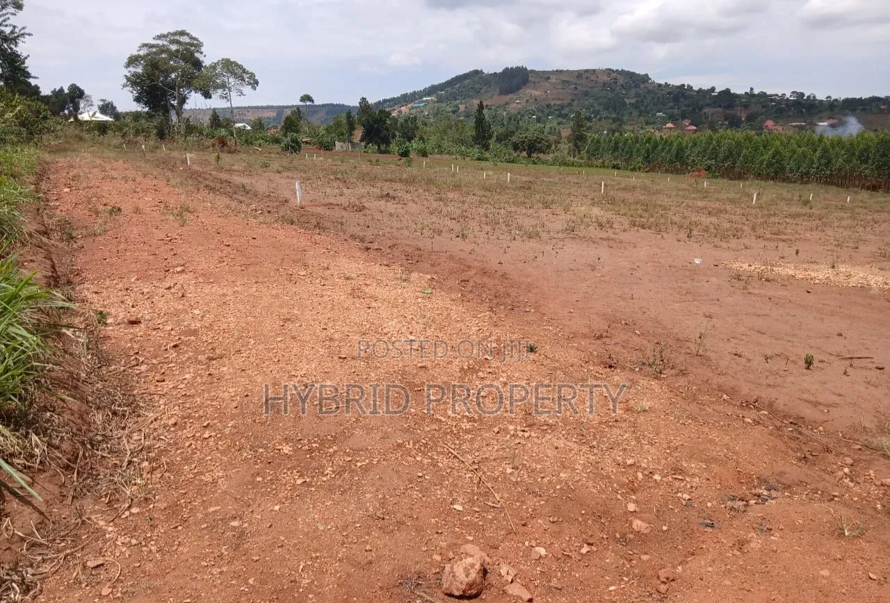 Prime Plots for Sale at Mpigi Kampiringisa~Muyira Town Land Estate X
