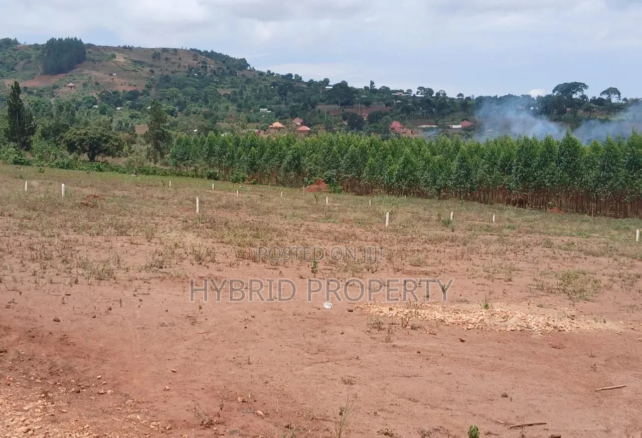 Prime Plots for Sale at Mpigi Kampiringisa~Muyira Town Land Estate X