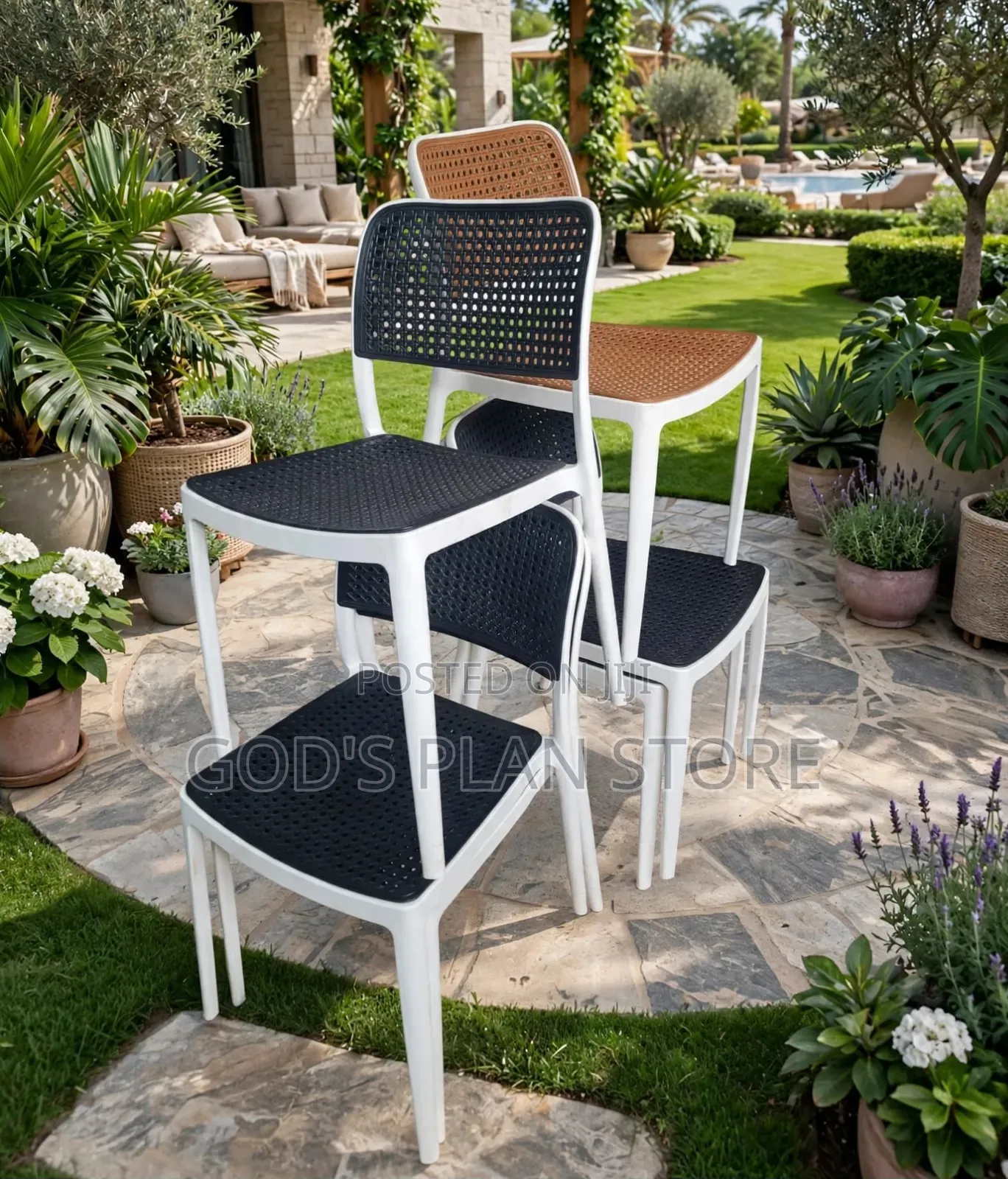Rattan White Frame Plastic Chairs Plastic Chairs
