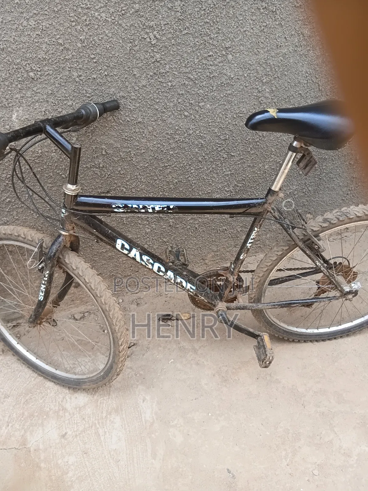 Bike Egaali