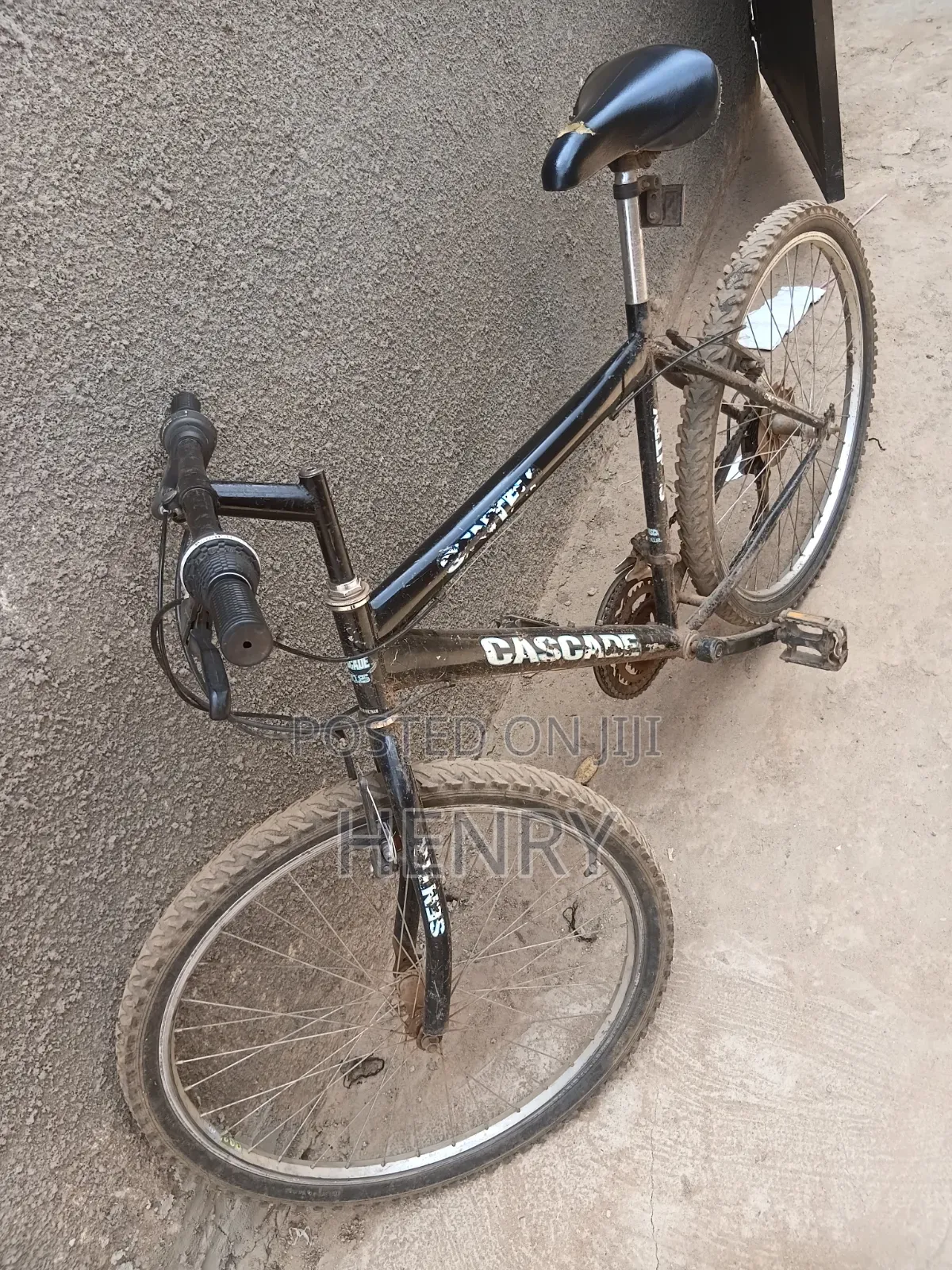 Bike Egaali