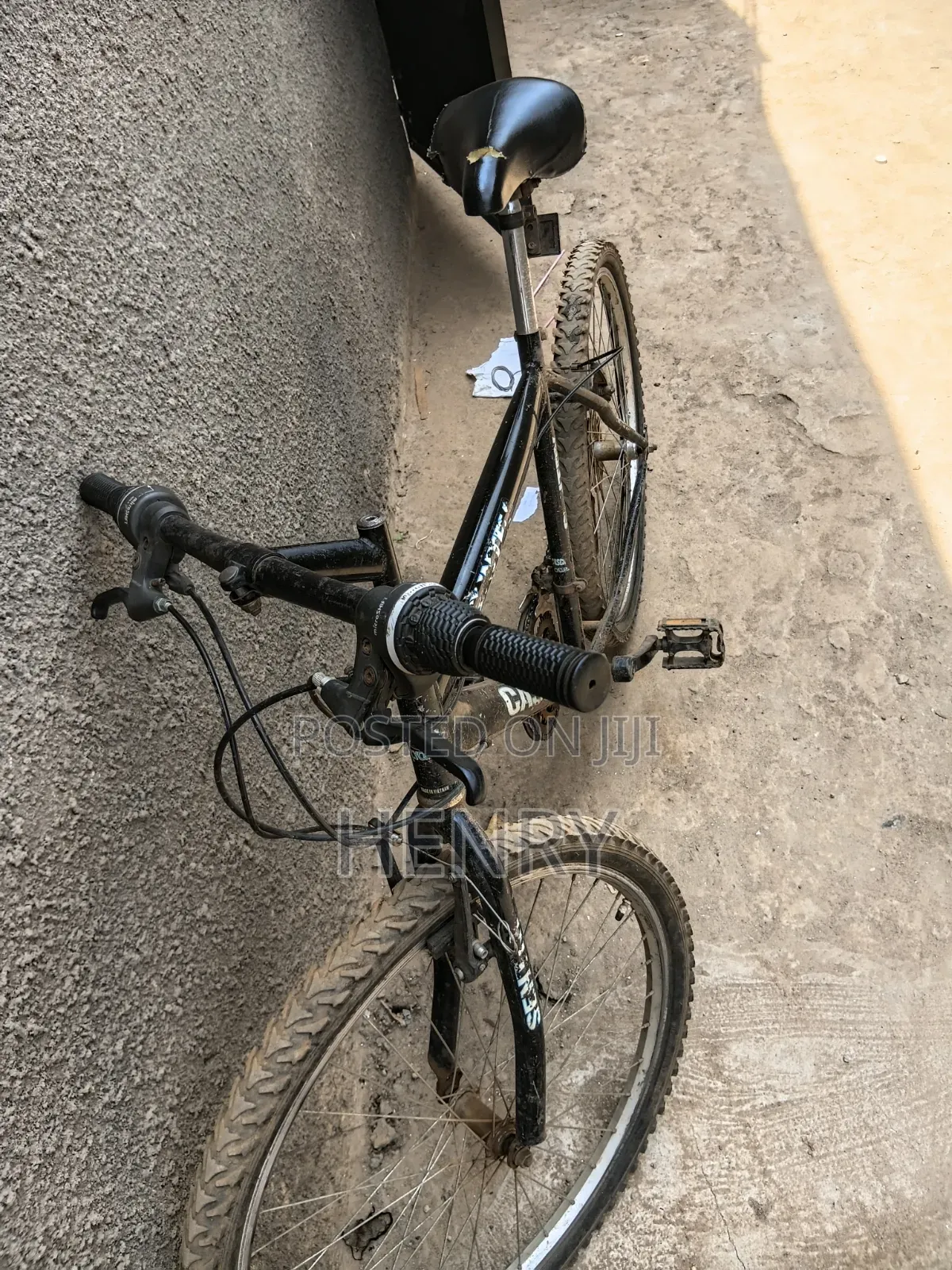 Bike Egaali