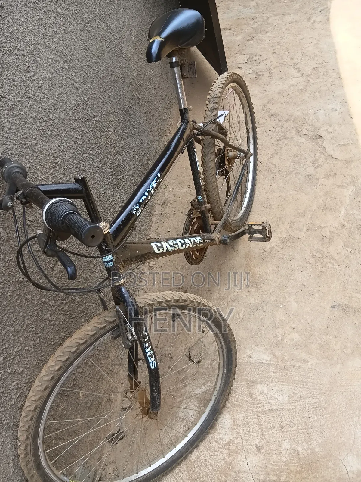 Bike Egaali