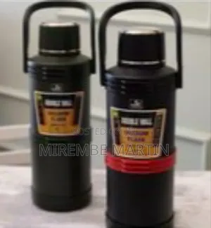 Double Wall Insulated Vacuum Flask With Handle