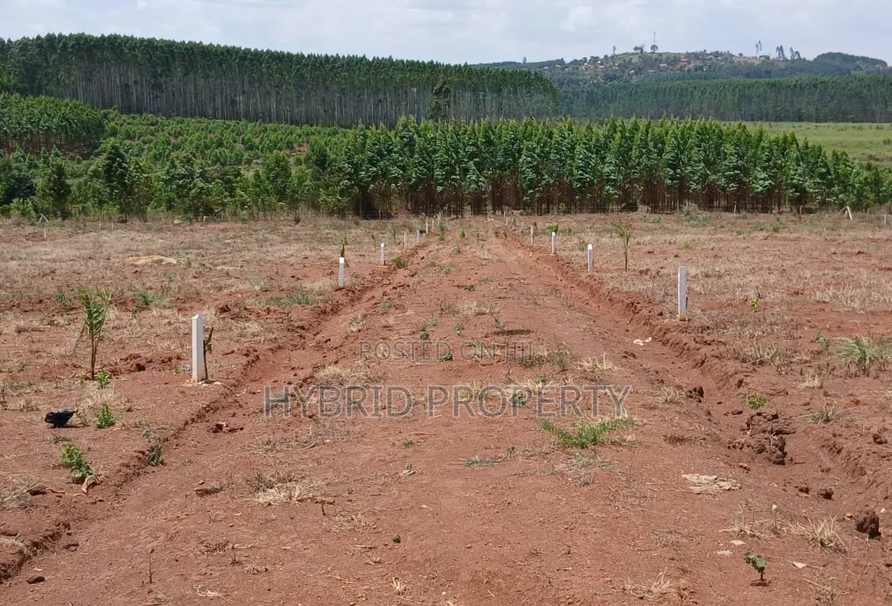 Prime Plots for Sale at Mpigi~Bubezi Divine Land Estate~Masaka Road X.