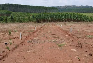Prime Plots for Sale at Mpigi~Bubezi Divine Land Estate~Masaka Road X.