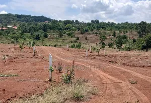 Prime Plots for Sale at Mpigi~Bubezi Divine Land Estate~Masaka Road X.