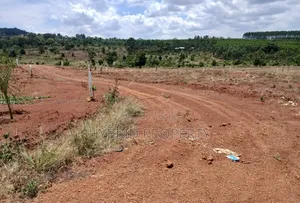 Prime Plots for Sale at Mpigi~Bubezi Divine Land Estate~Masaka Road X.