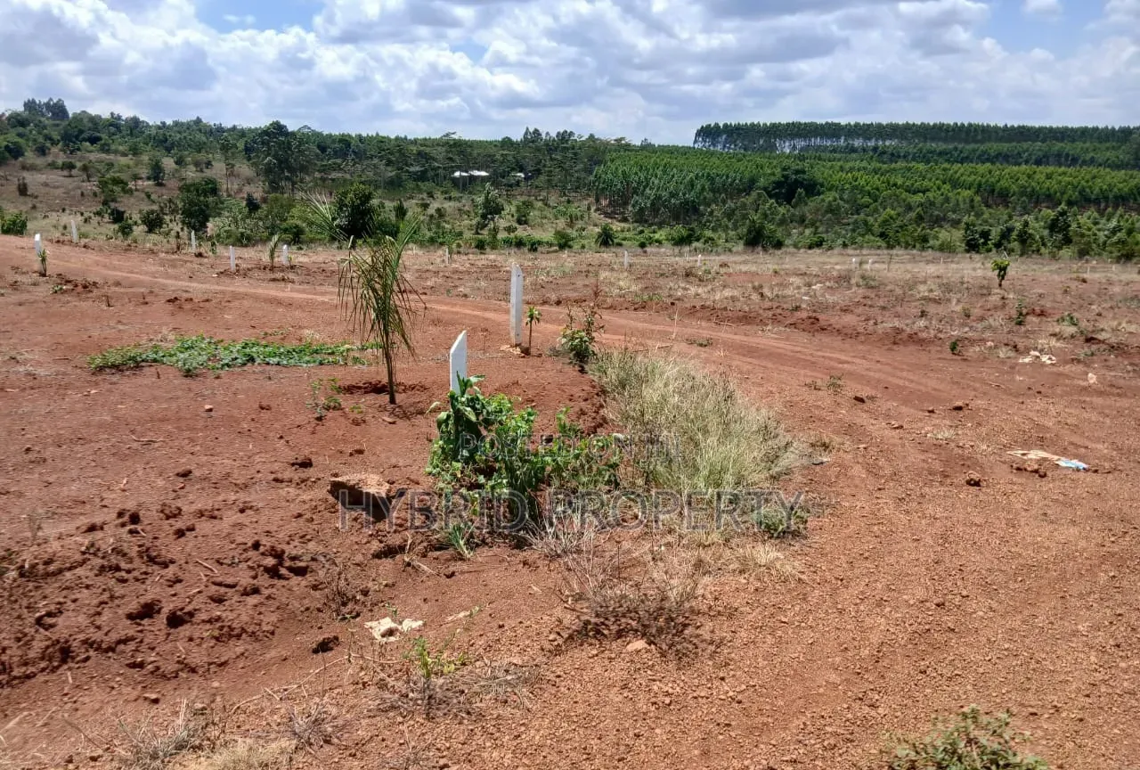 Prime Plots for Sale at Mpigi~Bubezi Divine Land Estate~Masaka Road X.