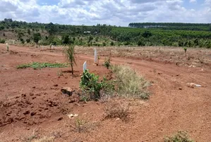 Prime Plots for Sale at Mpigi~Bubezi Divine Land Estate~Masaka Road X.