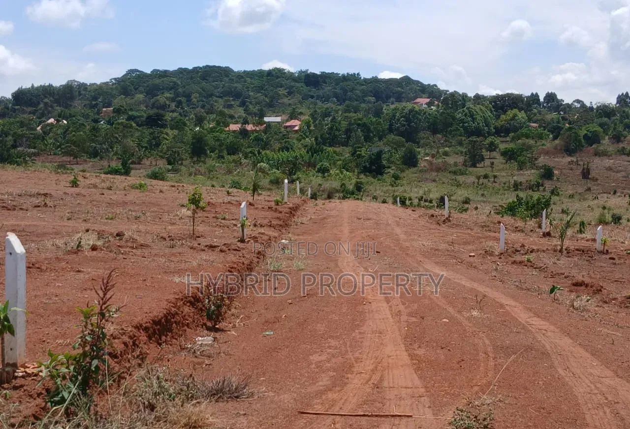 Prime Plots for Sale at Mpigi~Bubezi Divine Land Estate~Masaka Road X.