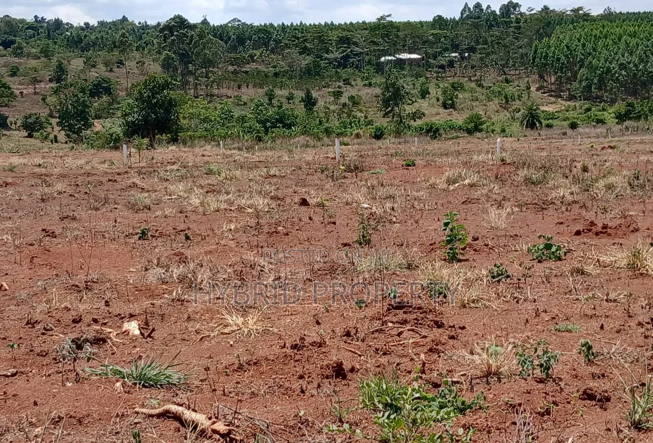 Prime Plots for Sale at Mpigi~Bubezi Divine Land Estate~Masaka Road X.
