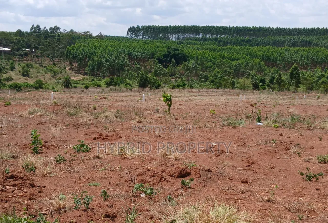 Prime Plots for Sale at Mpigi~Bubezi Divine Land Estate~Masaka Road X.