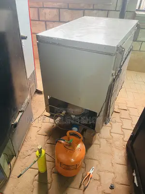 Deep Freezer Gas Refilling Mechanic With Good Experience