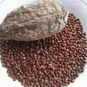 Alligator Seeds 100g