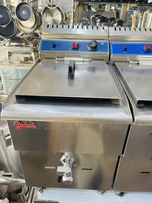 Brandnew 12L Commercial Deep Fryer
