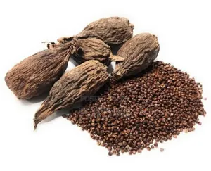 Alligator Seeds 100gm