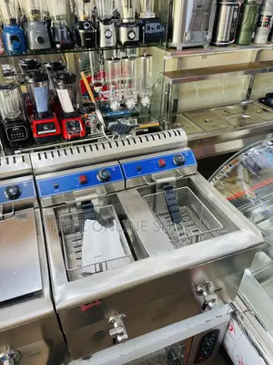 Brandnew 24L Double Commercial Deep Fryer