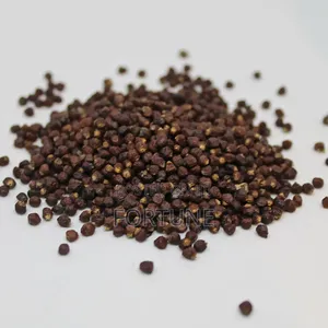 Alligator Seeds 100gram