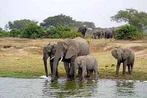 Tourism and Hotel Facilities