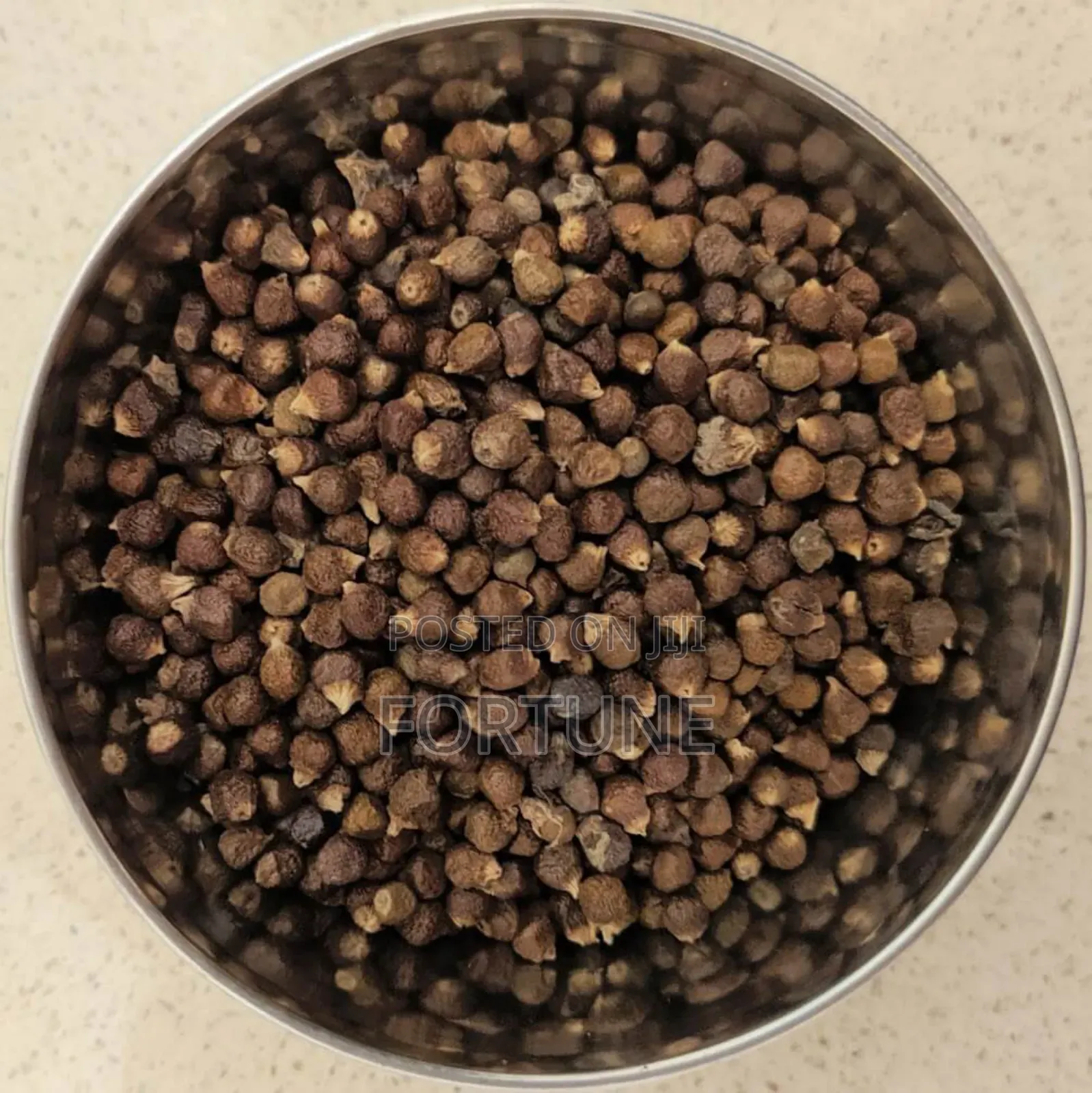 Alligator Seeds 100gramz