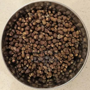 Alligator Seeds 100gramz