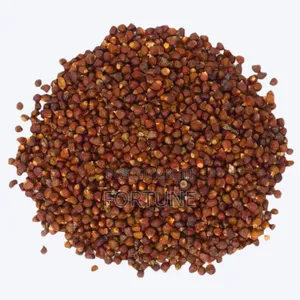 Alligator Seeds