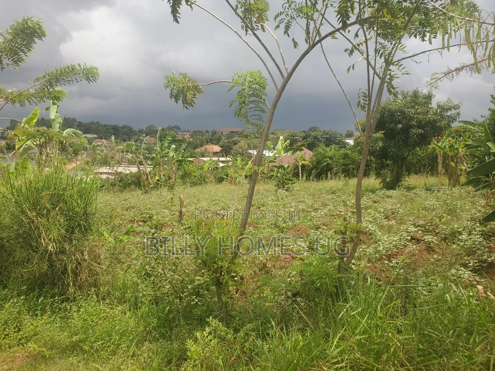 Plot for Sale Located in Kasangati-Kiti