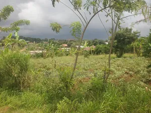 Plot for Sale Located in Kasangati-Kiti