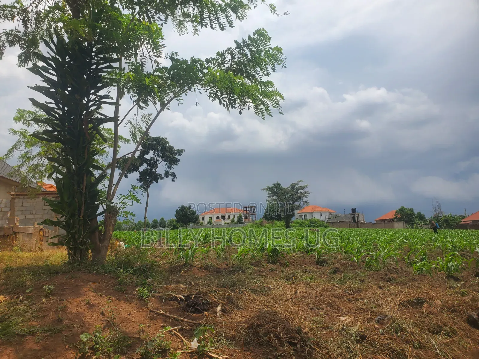 16decimals Plot for Sale in Kasangati-Kiti