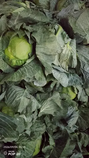 Cabbage in Kampala