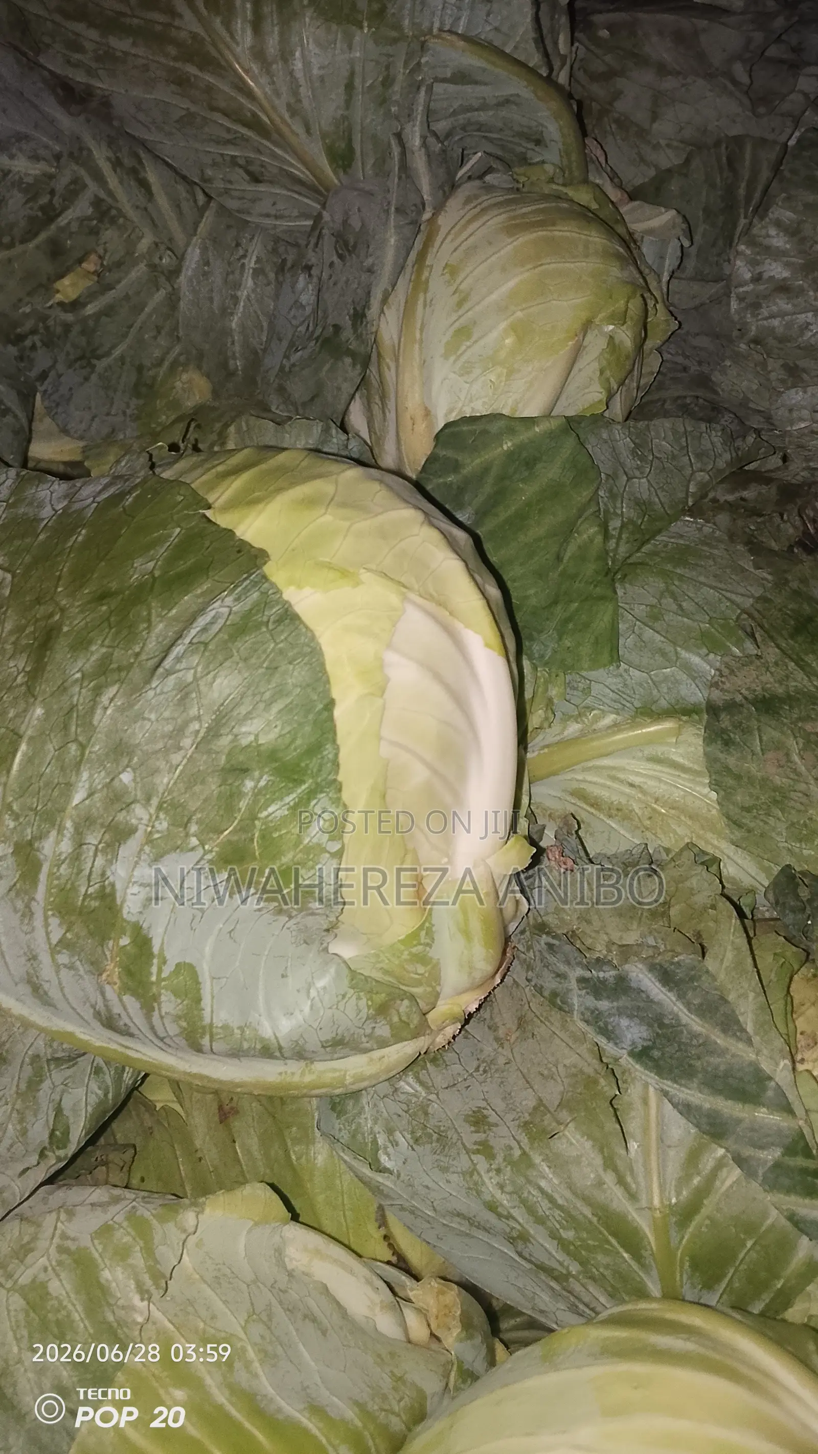 Cabbage in Kampala