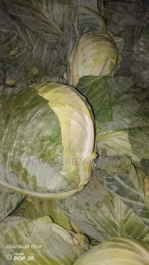 Cabbage in Kampala