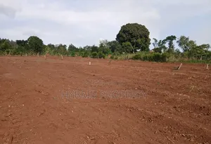 Prime Plots for Sale at at Katende~Kavule Nakabiso Along Masaka Road.