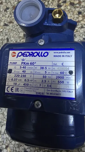 Surface Pump PKm60 0.5HP Pedrolla
